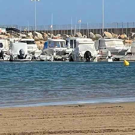 Exclusivo Y Torrevieja