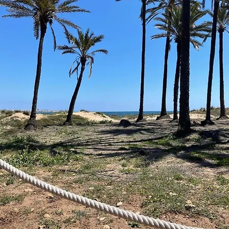 Exclusivo Y Torrevieja