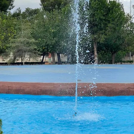 Exclusivo Y Torrevieja