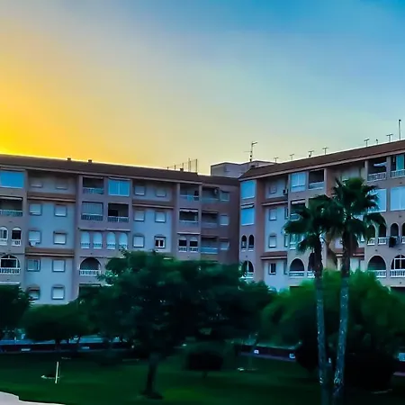 Exclusivo Y * Torrevieja