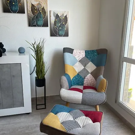 Exclusivo Y 托雷维耶哈